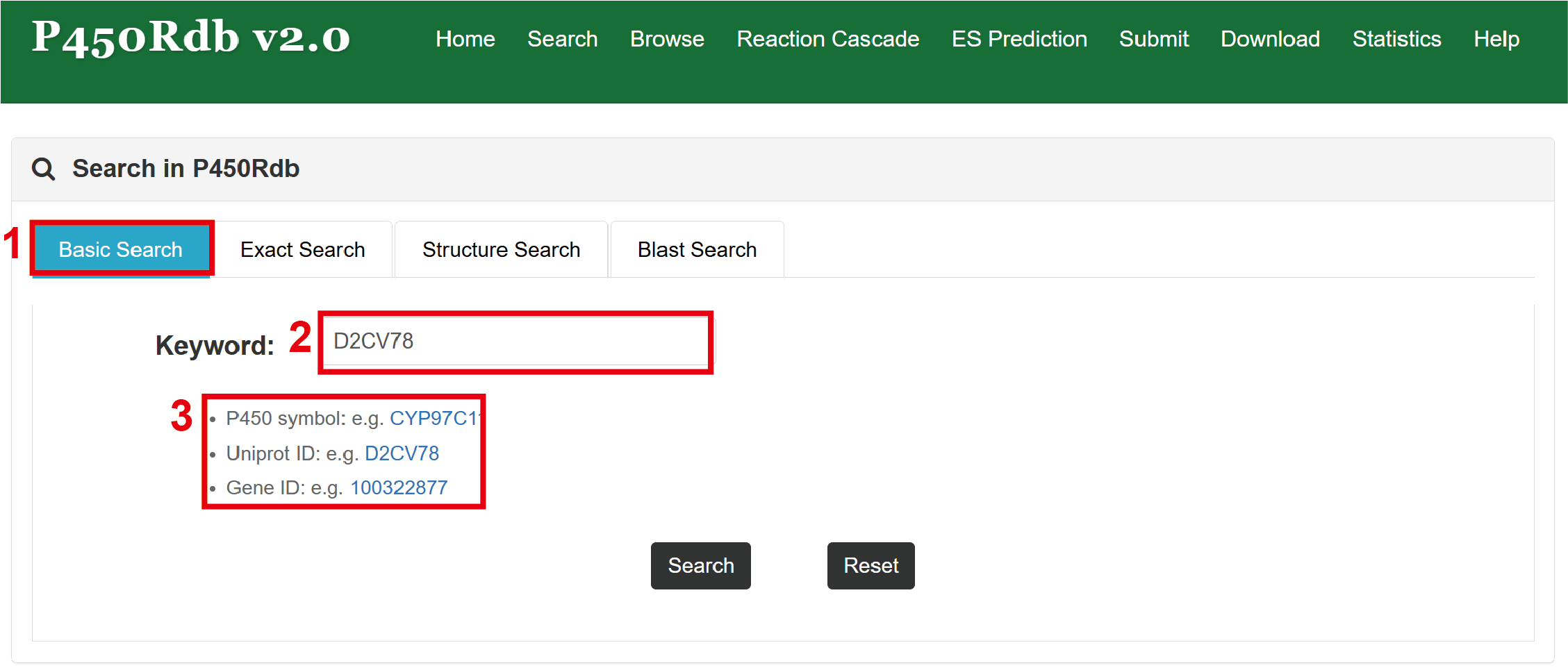 Basic Search
