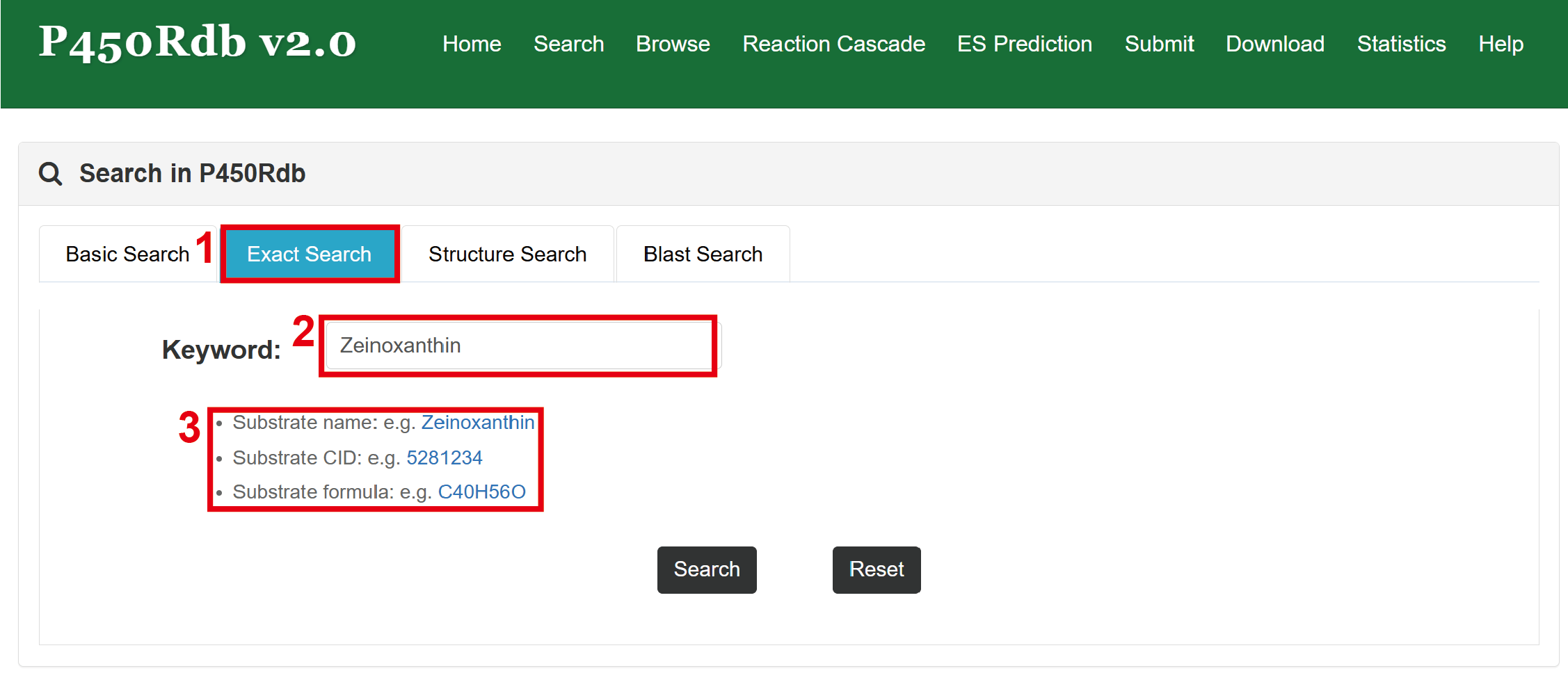 Exact Search