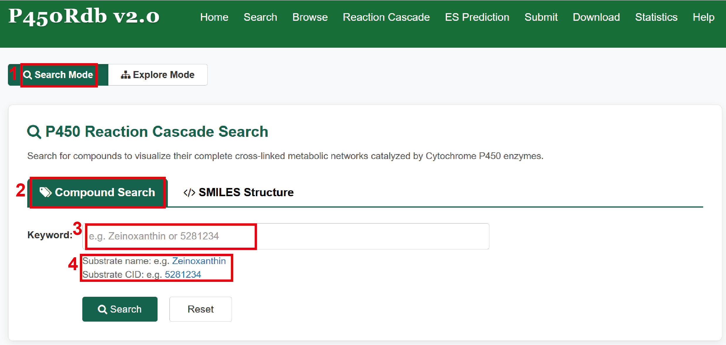 Reaction Cascade Search 1