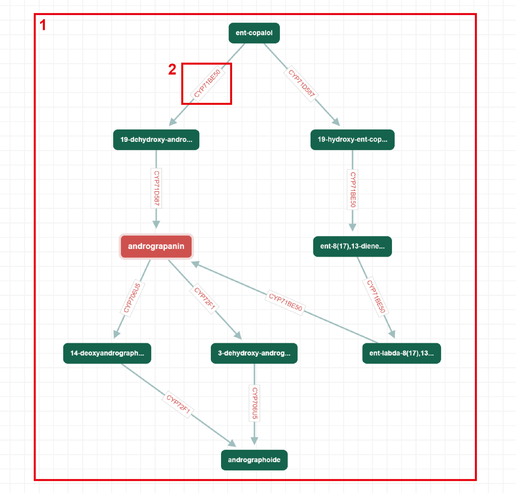 Network Visualization